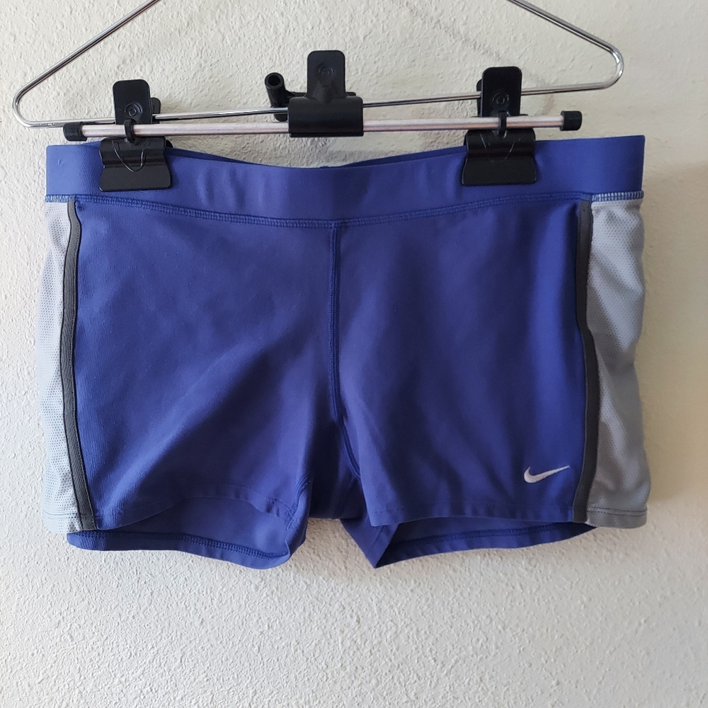 Nike Blue/purple Athletic Shorts